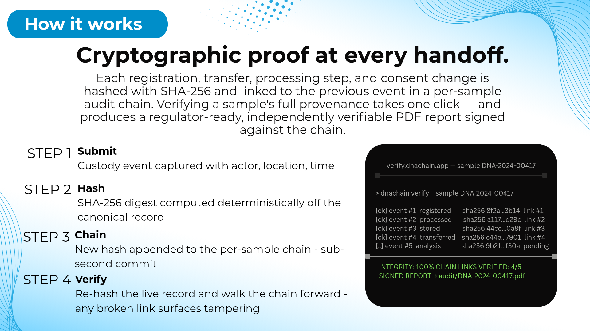 How it works — Cryptographic proof at every handoff: Submit, Hash, Chain, Verify